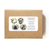 Cards Set | Plantable Seed Paper | Animal & Plant