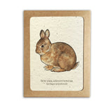 Cards Set | Plantable Seed Paper | Forest Wildlife