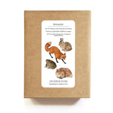 Cards Set | Plantable Seed Paper | Forest Wildlife