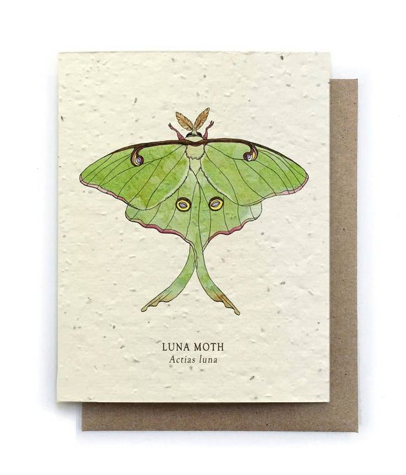 Card | Plantable Seed Paper | Luna Moth