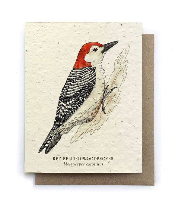Card | Plantable Seed Paper | Woodpecker