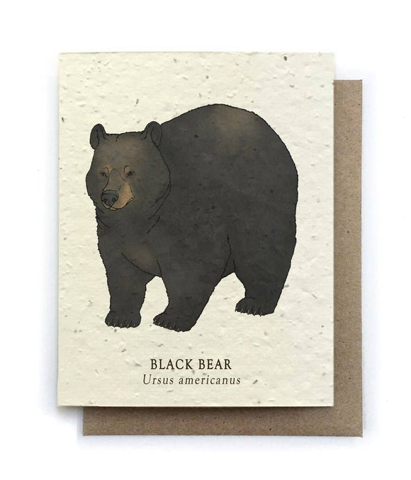 Card | Plantable Seed Paper | Black Bear