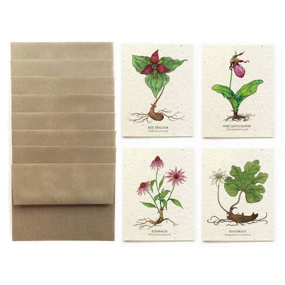 Cards Set | Plantable Seed Paper | At-Risk Flowers