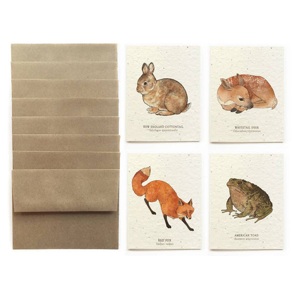 Cards Set | Plantable Seed Paper | Forest Wildlife