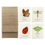 Cards Set | Plantable Seed Paper | Insects