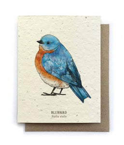 Card | Plantable Seed Paper | Bluebird