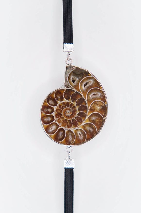Bookmark | Fossilized Shell
