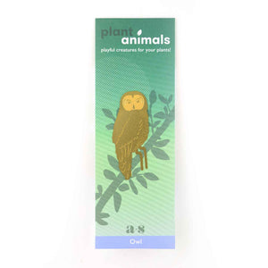 Plant Animal | Owl