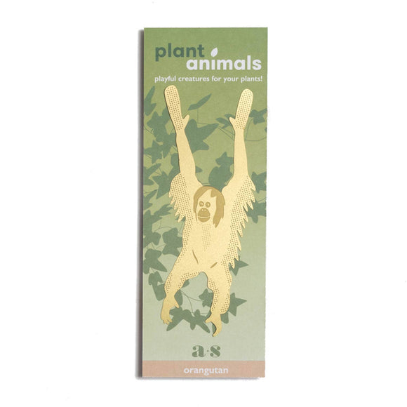Plant Animal | Orangutan