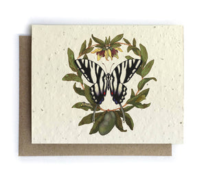 Card | Plantable Seed Paper | Zebra Butterfly and Paw Paw