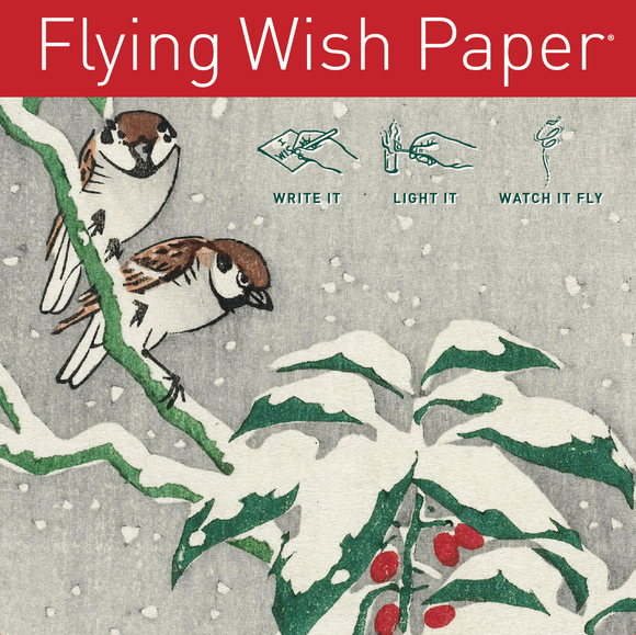 Wish Paper | Snowbirds | Mini kit with 15 Wishes + accessories