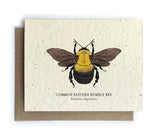 Card | Plantable Seed Paper | Bumble Bee