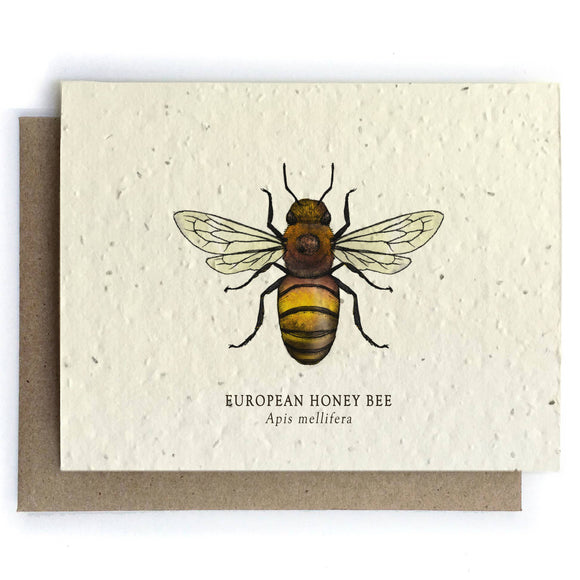 Happy Birthday Fly Fishing can Be Personalised Card. A Skillipig