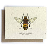 Card | Plantable Seed Paper | Honey Bee