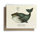 Card | Plantable Seed Paper | Whale
