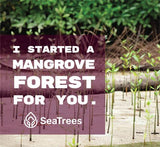 Nonprofit | Sea Trees | Plant 1 Mangrove Tree