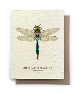 Card | Plantable Seed Paper | Dragonfly