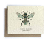 Card | Plantable Seed Paper | Mason Bee