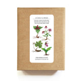 Cards Set | Plantable Seed Paper | At-Risk Flowers