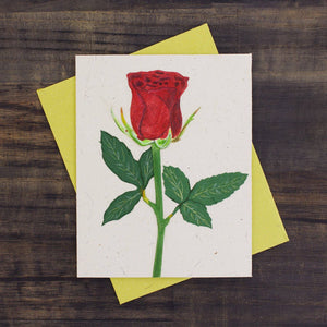 Card | Elephant Poo | Rose Flower | Natural White