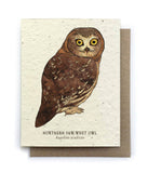 Card | Plantable Seed Paper | Owl