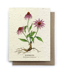 Card | Plantable Seed Paper | Echinacea