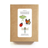 Cards Set | Plantable Seed Paper | Insects