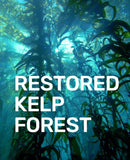 Nonprofit | Sea Trees | Restore 1 SqFt Kelp Forest